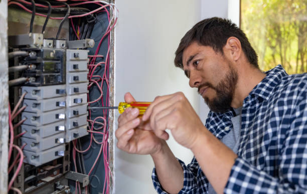 Best Ceiling Fan Installation Electrician  in Duluth, MN